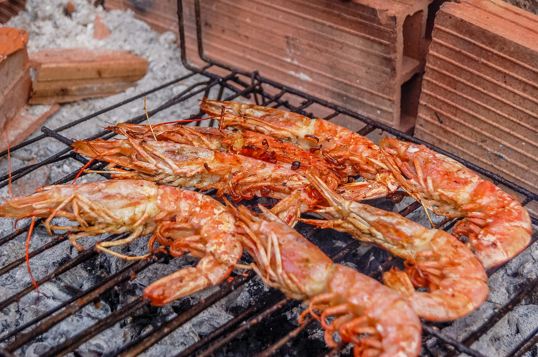 Food 1 Cal Guixater 2