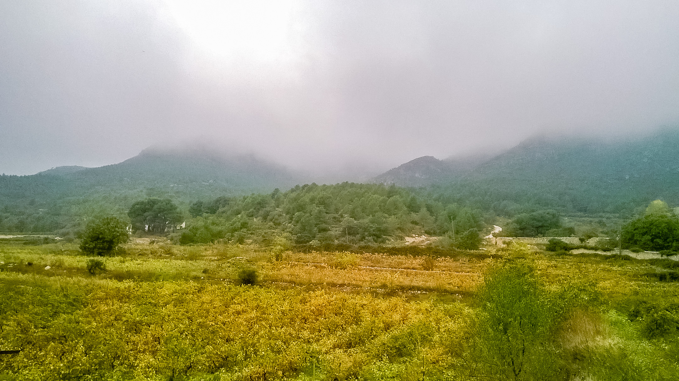 Uitzicht Cal Guixater 3